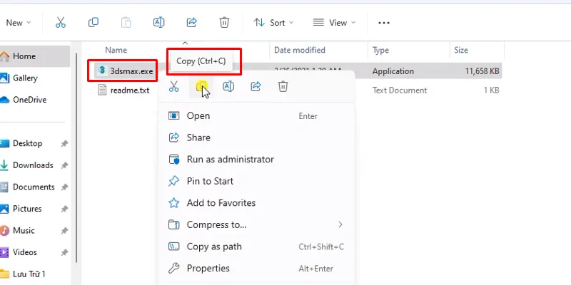 Copy file như hình