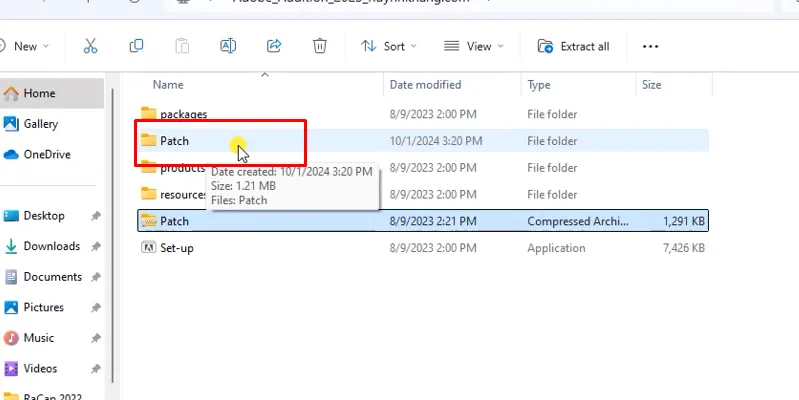 vào file kích hoạt vừa giải nén